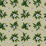 Seamless pattern of anemones