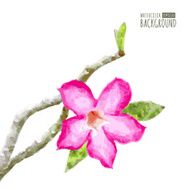 Watercolor vector background with tree branch and pink tropical N2