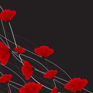 Abstract nature background Red poppy flowers N10