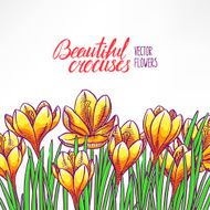 card with yellow crocuses