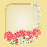 Golden frame pink hibiscus and jasmine vector
