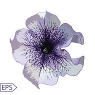 Design of floral card Vector illustration