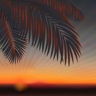sunset N3