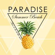 Geometric Pineapple Background - Seamless Pattern N2