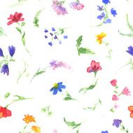 Watercolor pattern with wildflowers N2