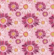 Gerbera N4