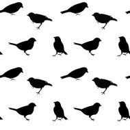 Black and white vector seamless pattern with birds N2