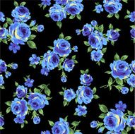 repetition of the rose N24