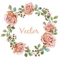 Rose wearth