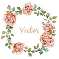 Rose wearth N2