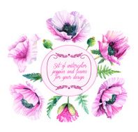 Vector set of lilac violet poppies buds leaves for design
