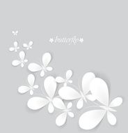 White butterflies N5