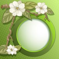 magnolia and circle