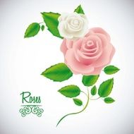 Flowers Icons N11