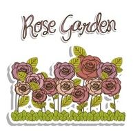 Flowers Garden N2
