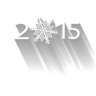 New year 2015 celebration greeting card with snowflake N2