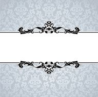 Decorative Frame N51