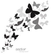 Butterfly design on white background N5