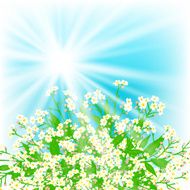 Vector card with small white flowers N4