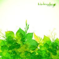 Green summer foliage vector background N2