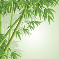 Bamboo vector illustration N2