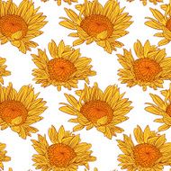 vector seamless pattern with sunflowers