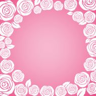 White rose cycle