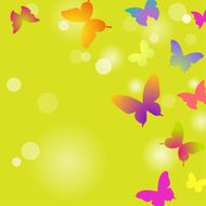 Butterflies on a green background