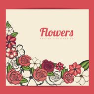 flowers frame N6