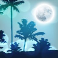 Landscape with palm trees and full moon at night N2