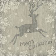 Christmas deer with snowflakes on wooden texture Vector illustr