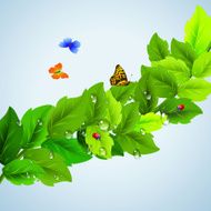 Branch With Leaves N4