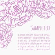 peony N3