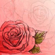 Sketch rose branch N2