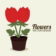 Flowers design N213