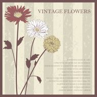 Vintage elegant flower postcard