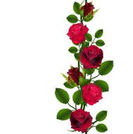 Seamless red roses pattern