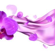 orchid and folds of fabric