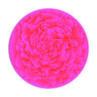 pink flower N4