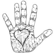 Hand with a heart shape detailed black lines vector illustration