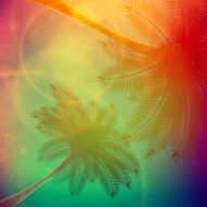 Palm trees with beautiful sunset N11