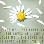 Daisy she loves me &hellip; not