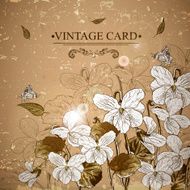 Vintage Monochrome Floral Card with Violets N3