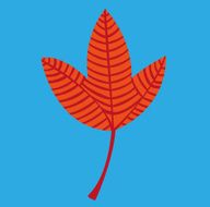 leaf design