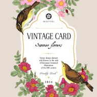 Two birds in the wild rose bushes N2