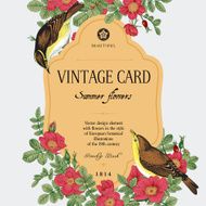 Two birds in the wild rose bushes N4