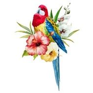 Watercolor rosella bird N2