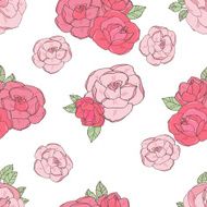 Pink rose on the white background N11