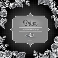 Label template with briar Chalk on blackboard N2