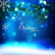 Christmas tree branches N5